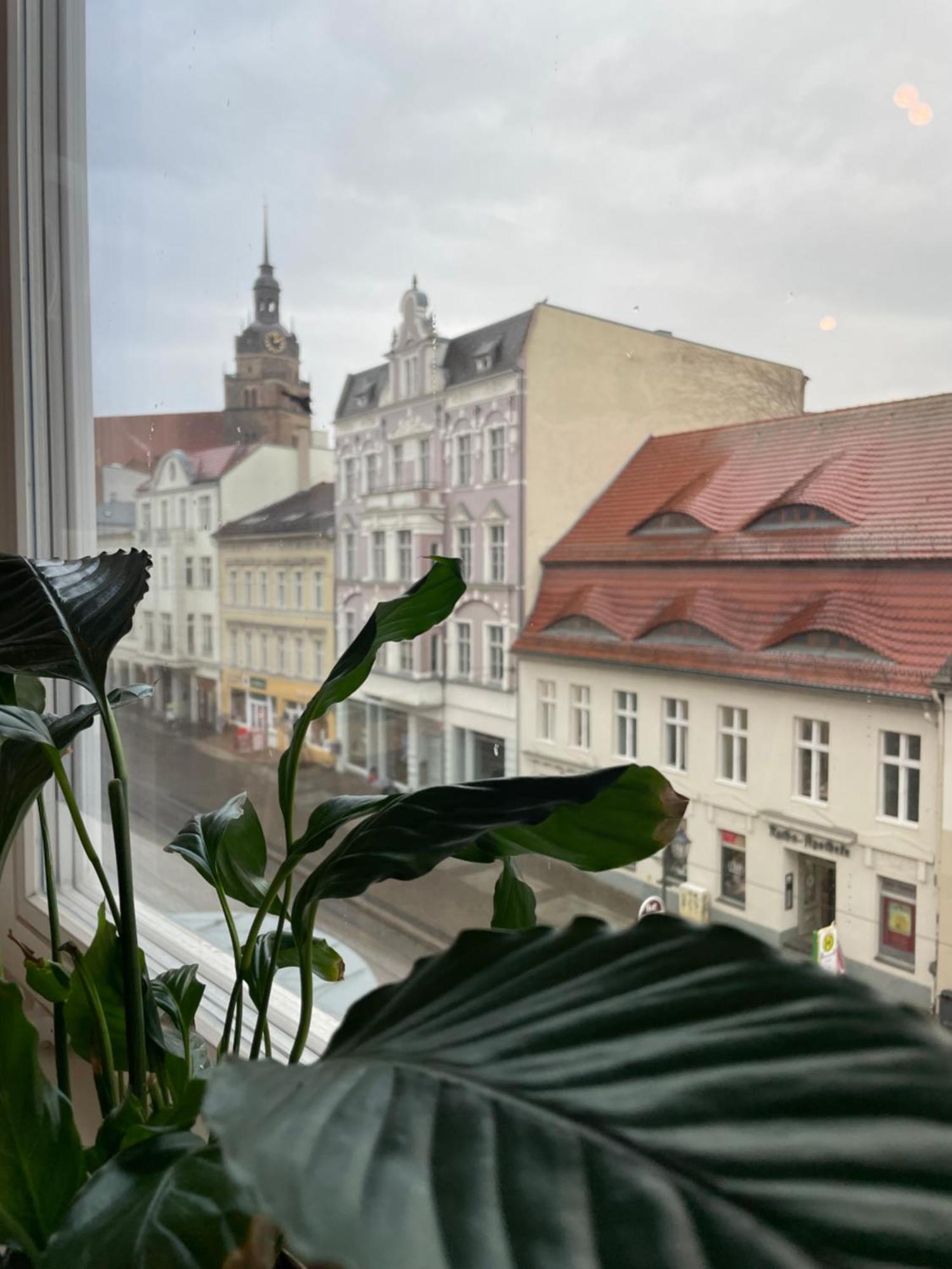 Ferienwohnung Havel Harmonie Brandenburg an der Havel Exterior foto