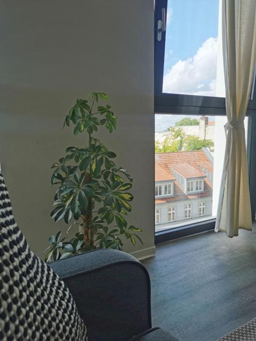 Ferienwohnung Havel Harmonie Brandenburg an der Havel Exterior foto